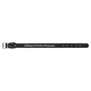 19X1" BLK/SLV DOG COLLAR