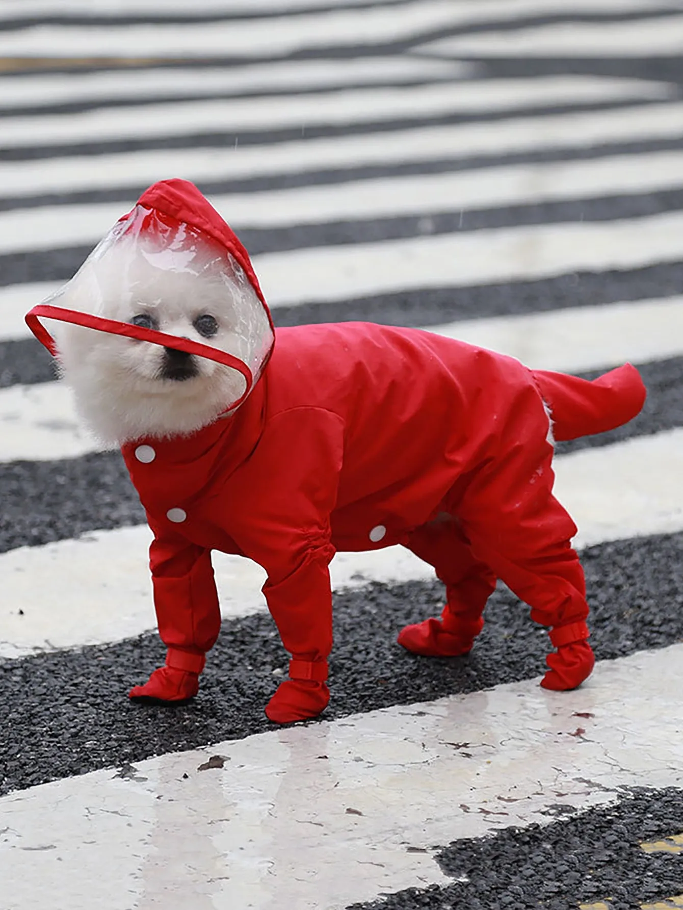 1pc Plain Pet Raincoat