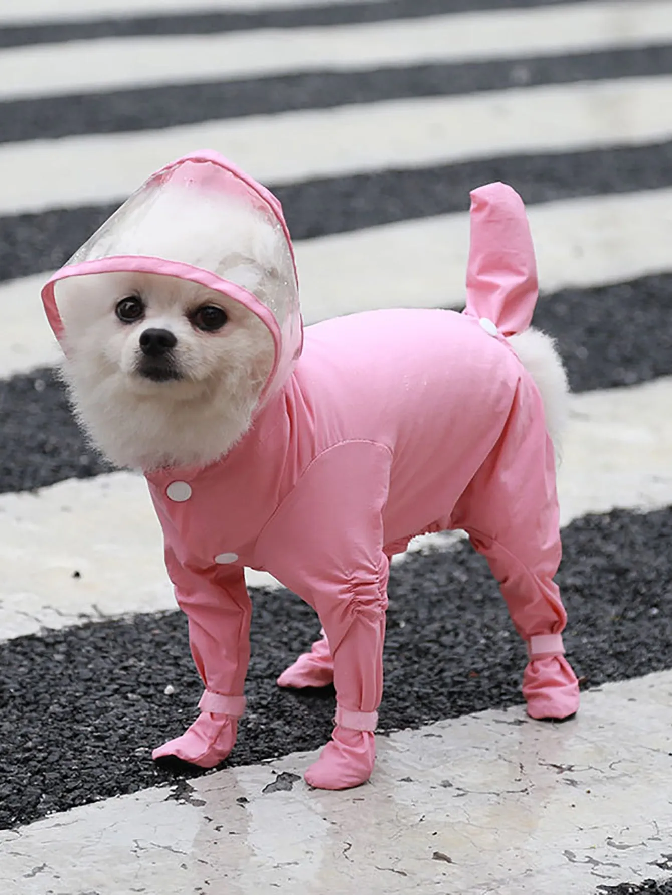 1pc Plain Pet Raincoat