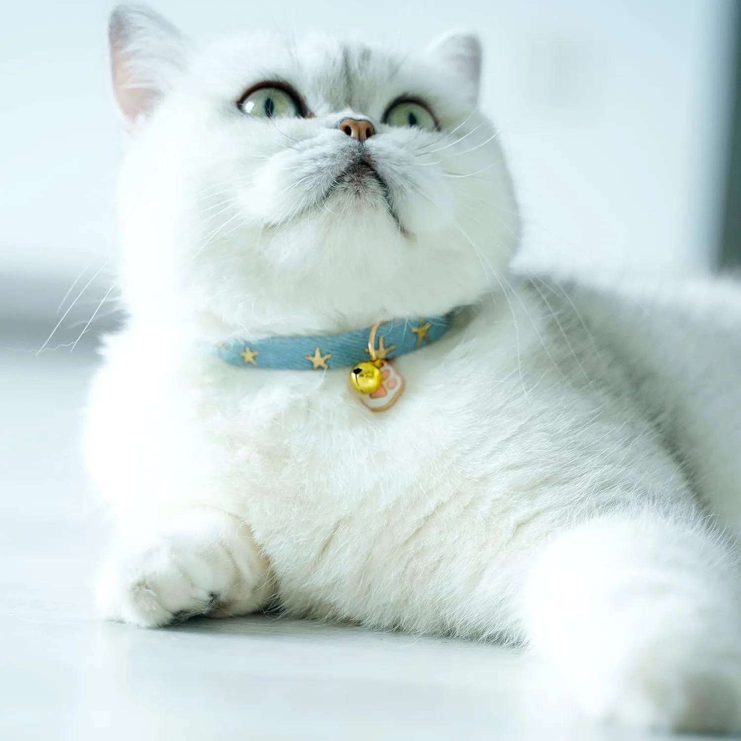 2 Pack Denim Breakaway Cat Collars with Bell Cat Paw Pendant Kitty Kitten Collars Blue Collar for Female Girl Cats Male Boy Cats Star Print