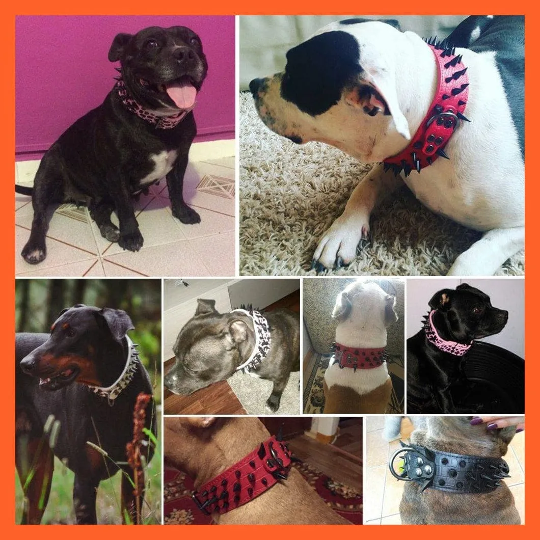 2" Wide Sharp Spiked Studded Leather Dog Collars Pitbull Bulldog Big Dog Adjustable Collar