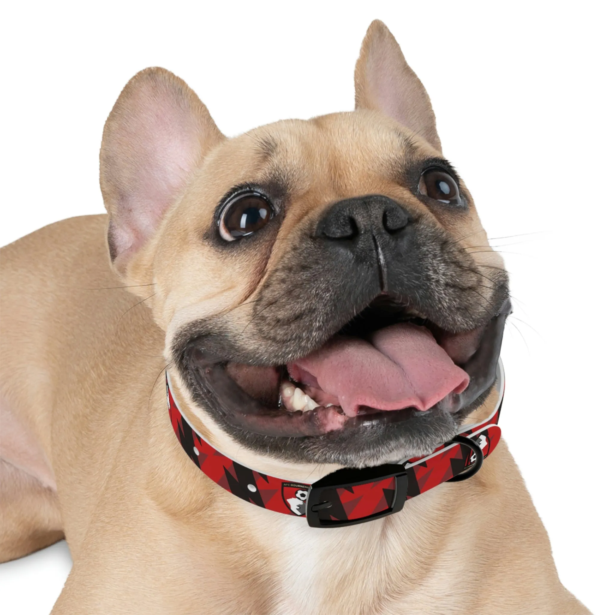 AFC Bournemouth 23 Home Inspired Waterproof Collar