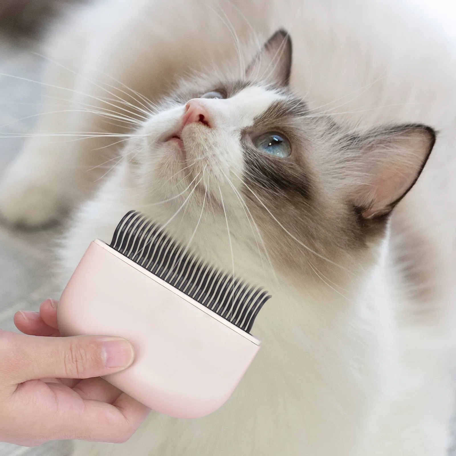 Aimondow Cat Comb Cat Brush for Shedding Grooming Hair Removal Shell Comb for Cats Dogs Puppy Rabbit Bunny Easy to Dematting Matted Fur Tangled Hair, 2 PCS