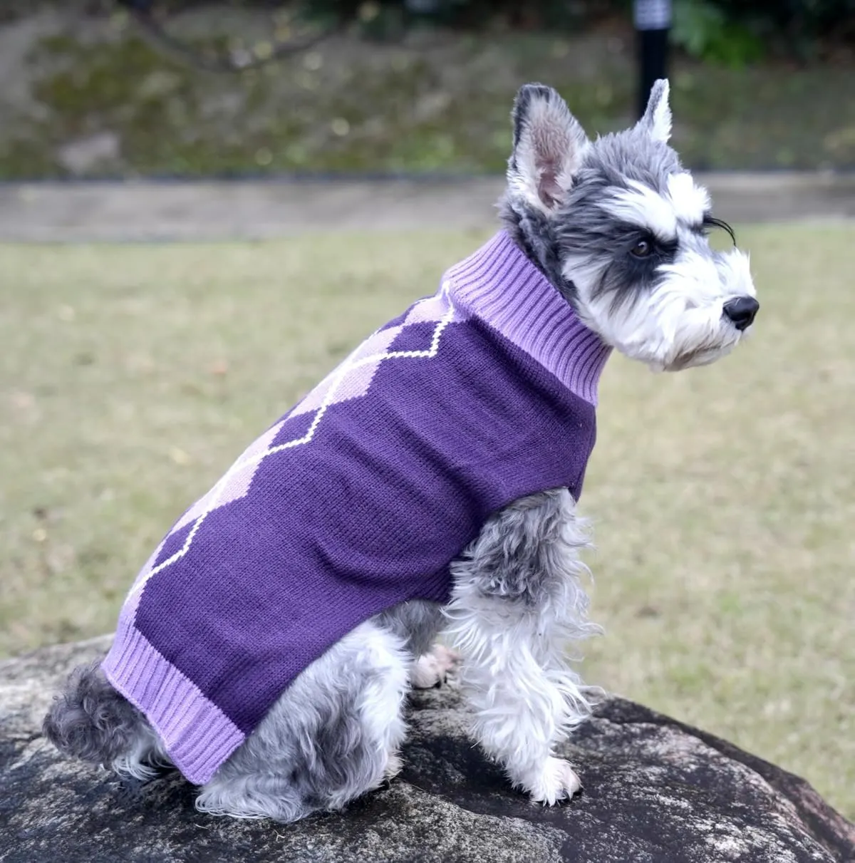 Argyle Knit Pet Sweaters Clothes for Small Dogs, Classic Purple Medium M Size
