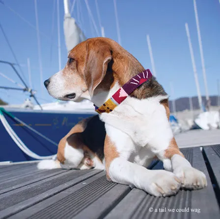 ATWCW Argyle - Mayan Artisan-Handmade Martingale Collars