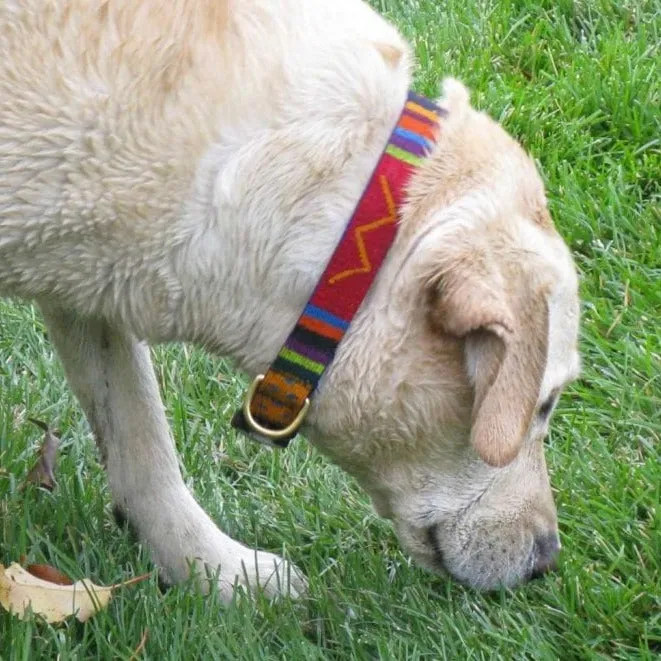 ATWCW Harborside Daybreak - Mayan Artisan-Handmade Dog Collars