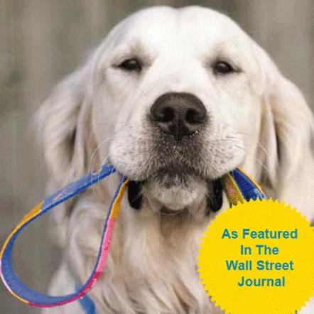 ATWCW Toto - Mayan Artisan-Handmade Pet Leash