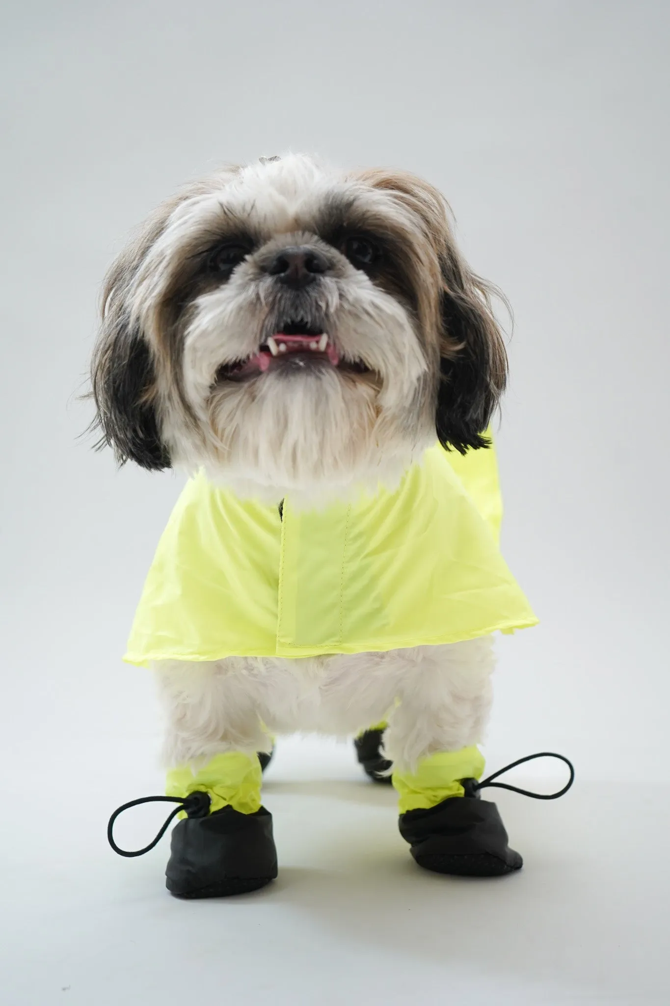 Bunny Eazy Breazy Raincoat (without paw covers)