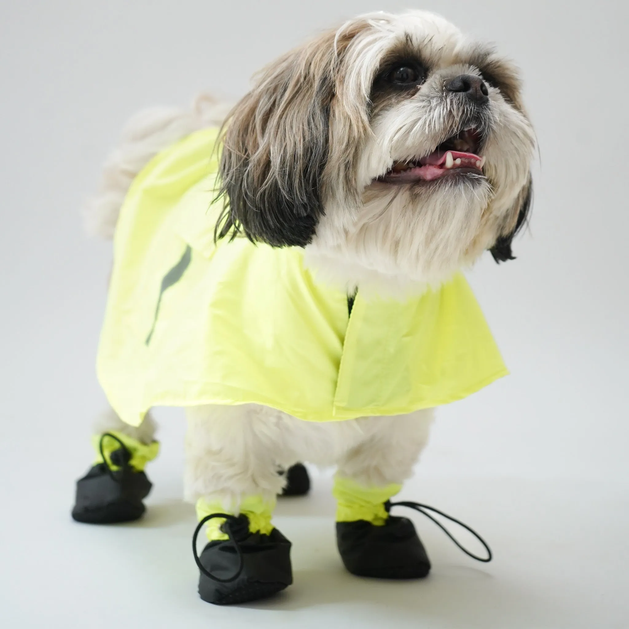 Bunny Eazy Breazy Raincoat (without paw covers)