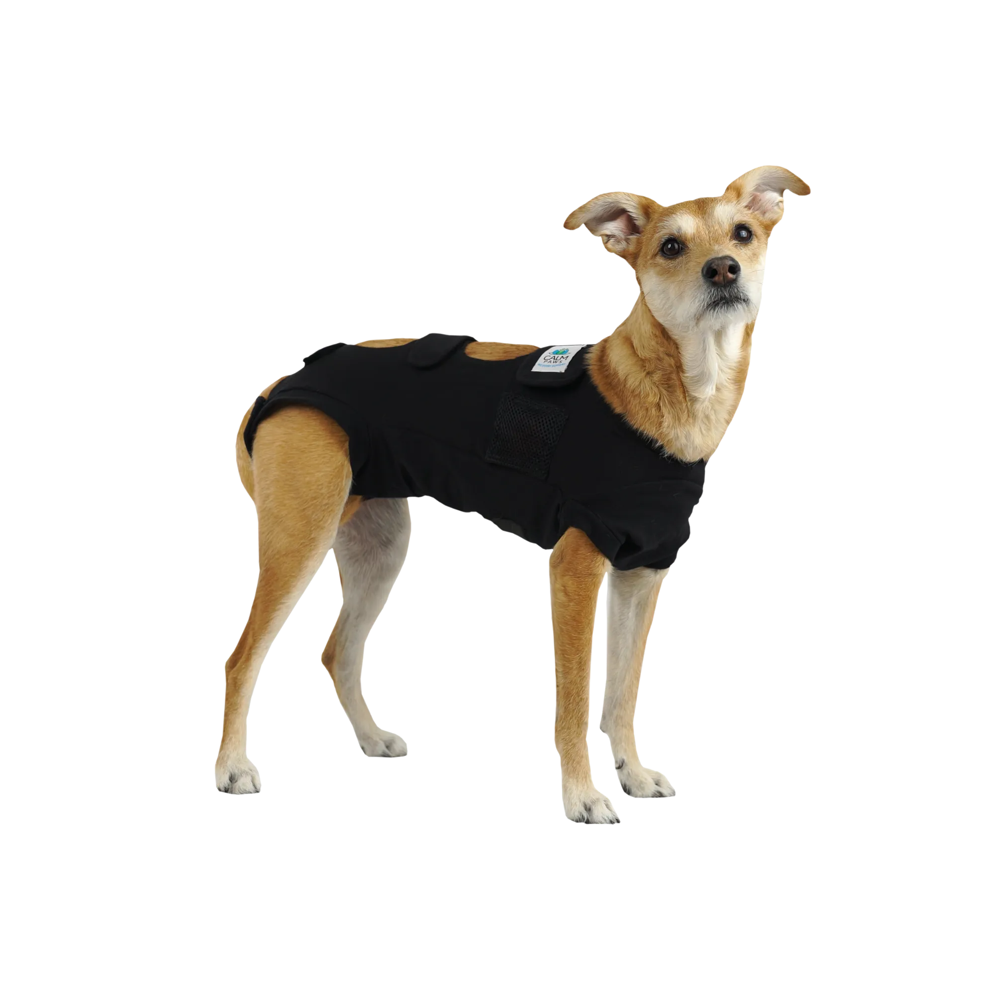 Calm Paws Calming Recovery Vest (5 Sizes)
