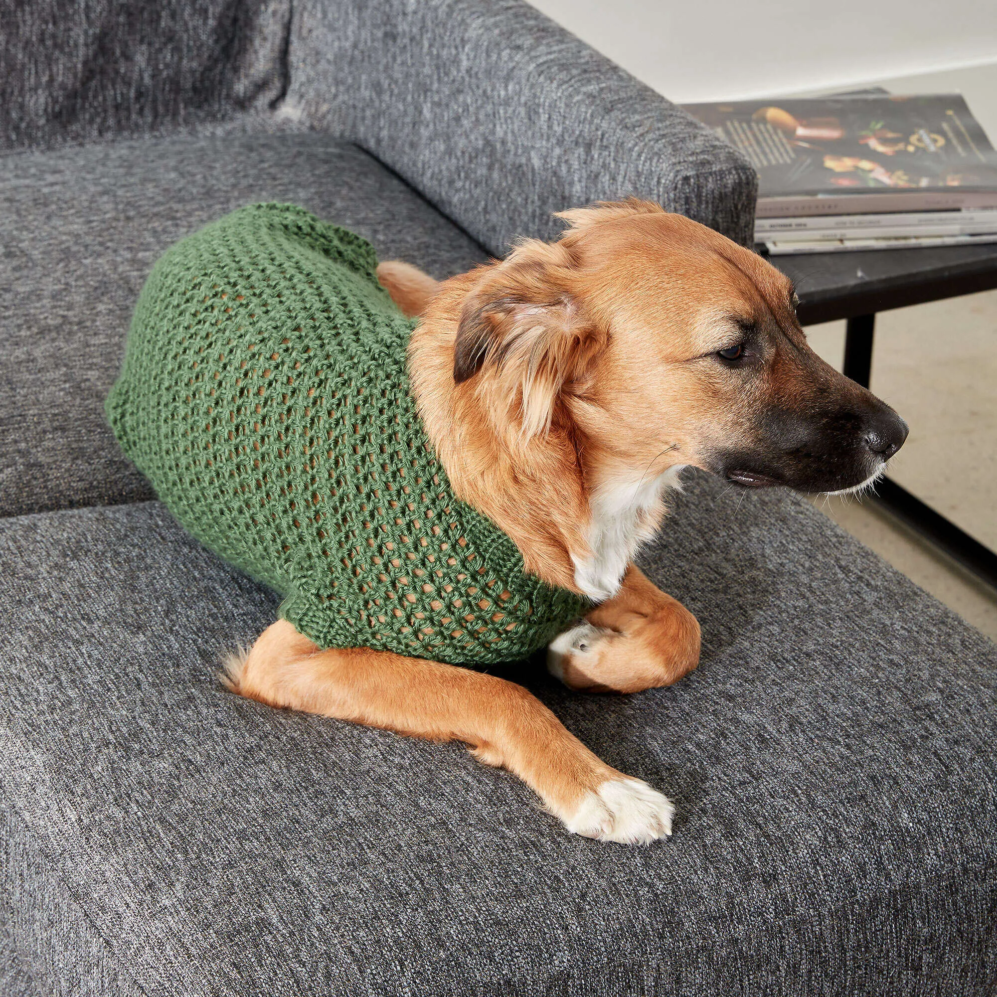 Caron Crochet Dapper Pup Sweater
