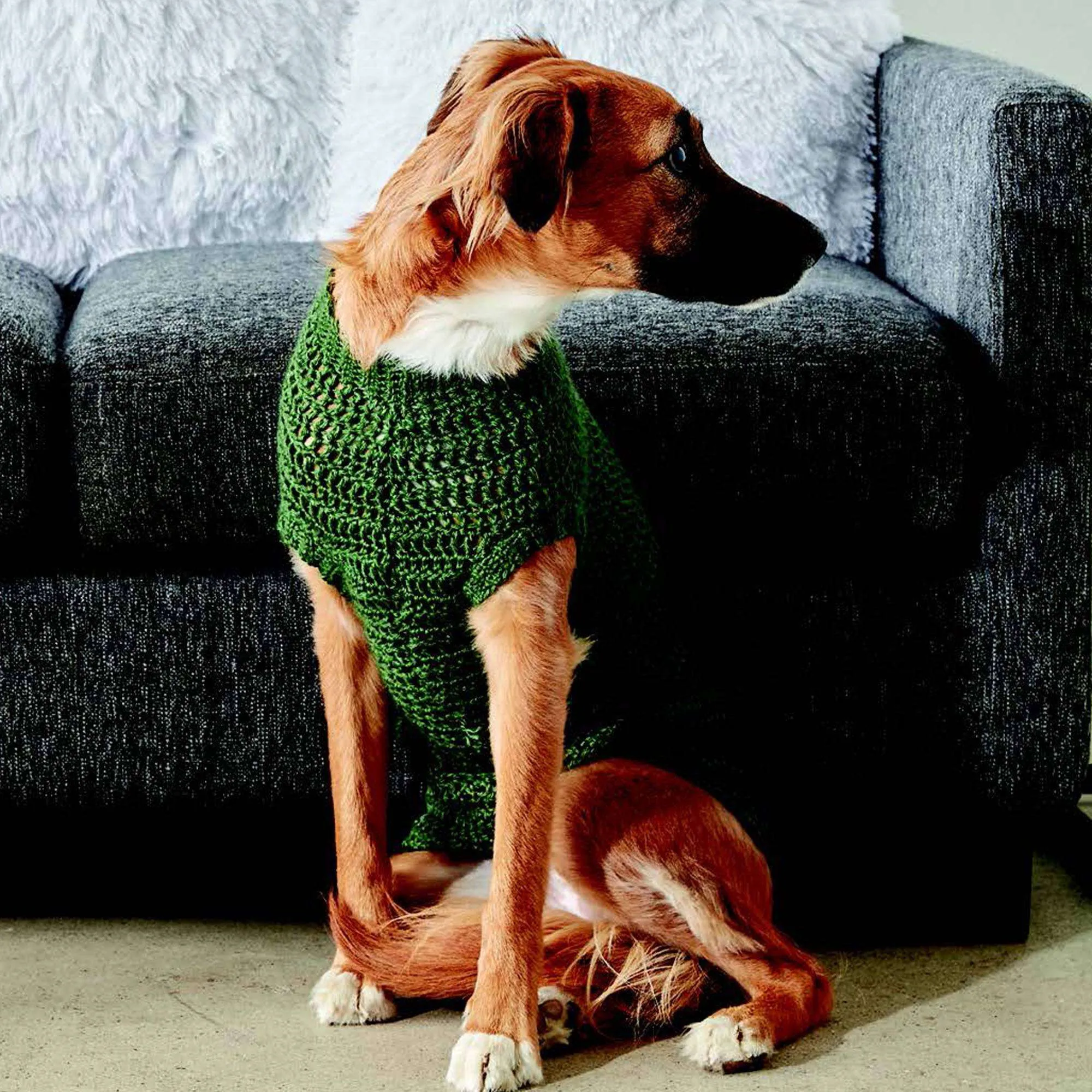 Caron Crochet Dapper Pup Sweater