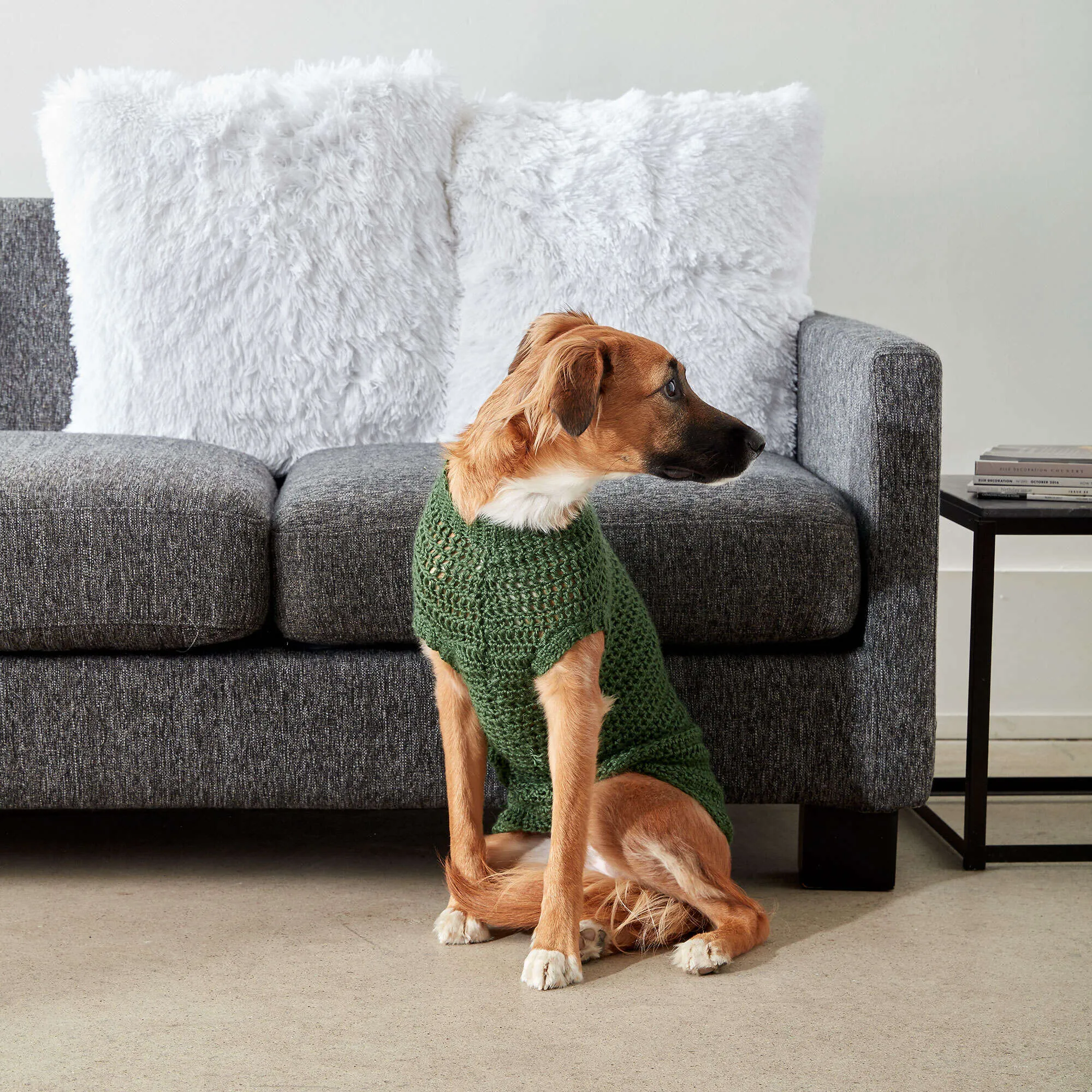 Caron Crochet Dapper Pup Sweater