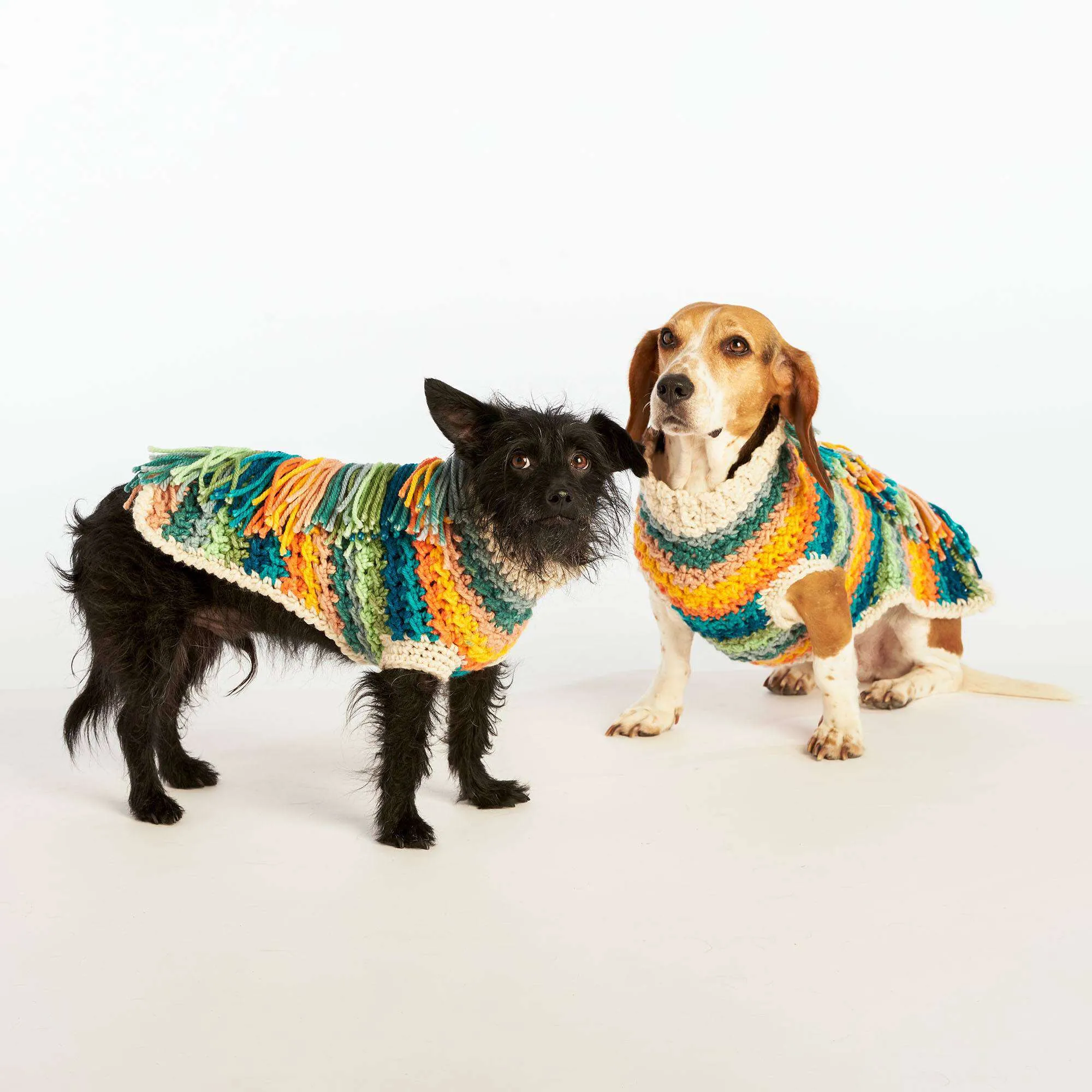 Caron Happy Dog Crochet Sweater