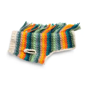 Caron Happy Dog Crochet Sweater