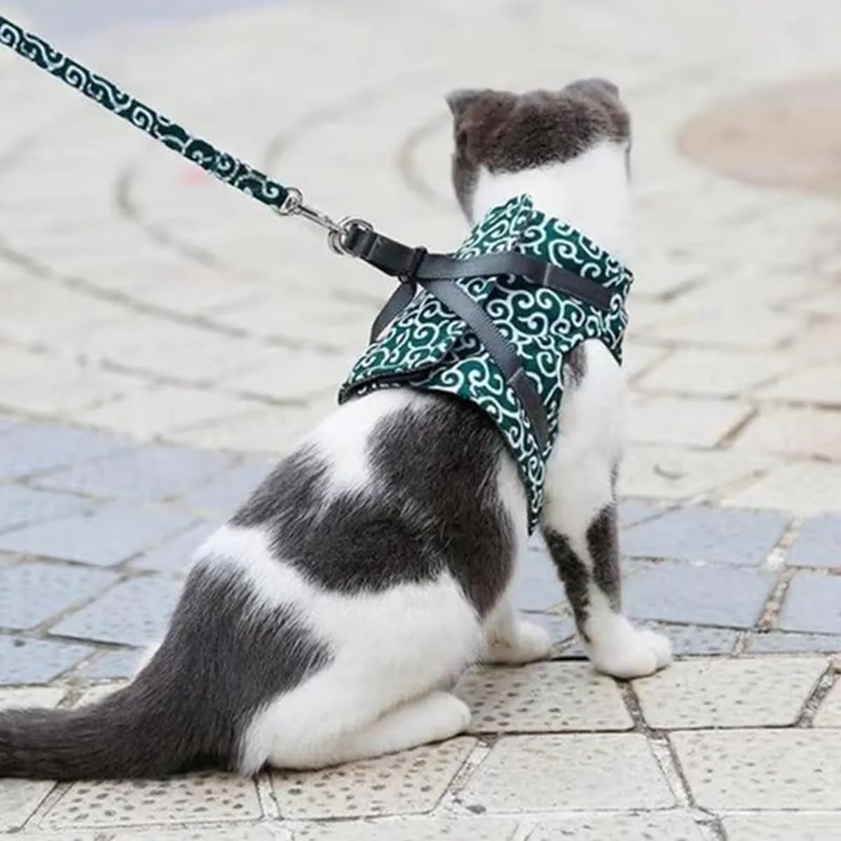 Cat Dogs Vest Harness and Leash Anti-Break Away Chest Strap Cat Clothes, Adjustable Cat Leash, Easy to Control, Soft Breathable Kitten or Puppy Harness for Travel, Training, Outdoor Use (Red,L)