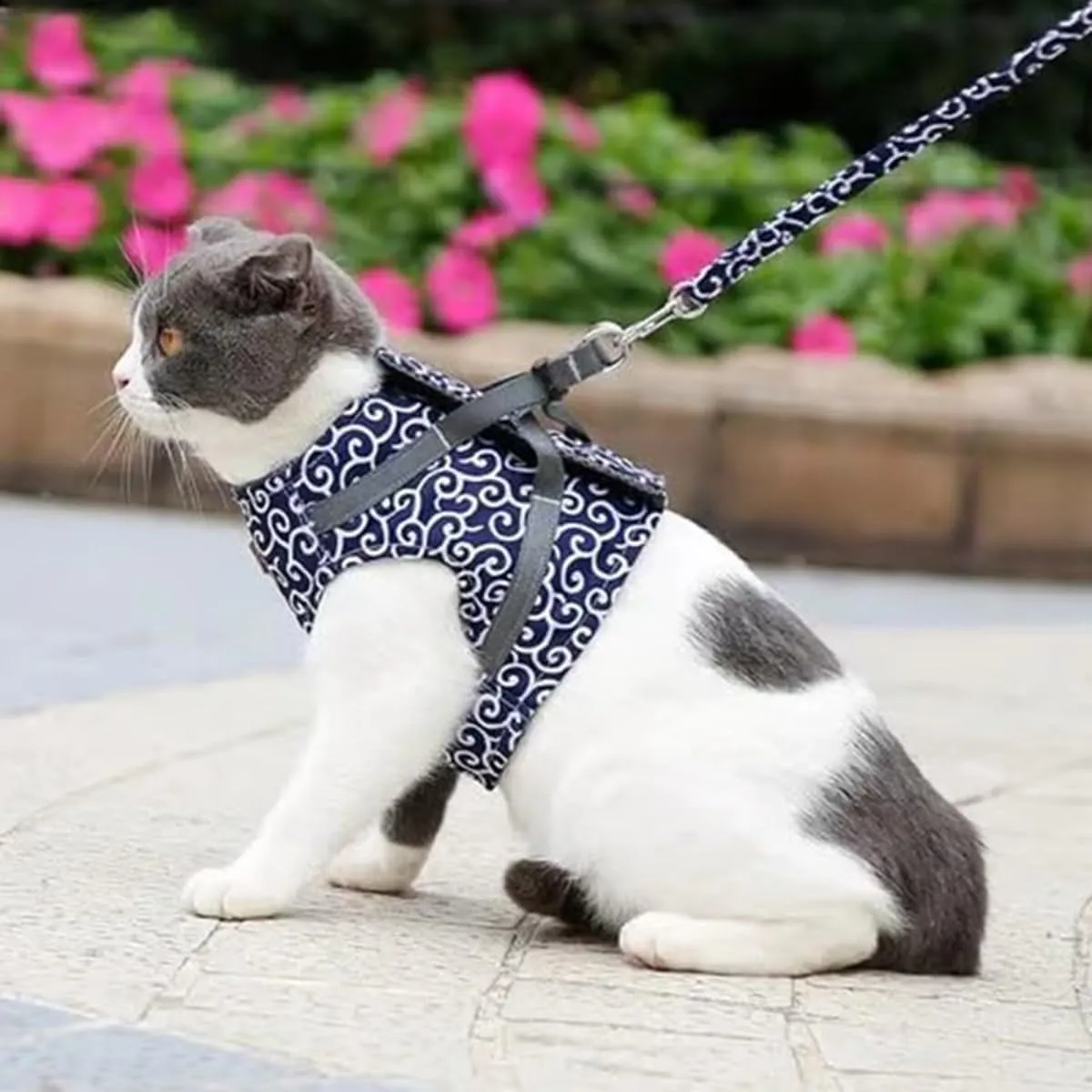 Cat Dogs Vest Harness and Leash Anti-Break Away Chest Strap Cat Clothes, Adjustable Cat Leash, Easy to Control, Soft Breathable Kitten or Puppy Harness for Travel, Training, Outdoor Use (Red,L)