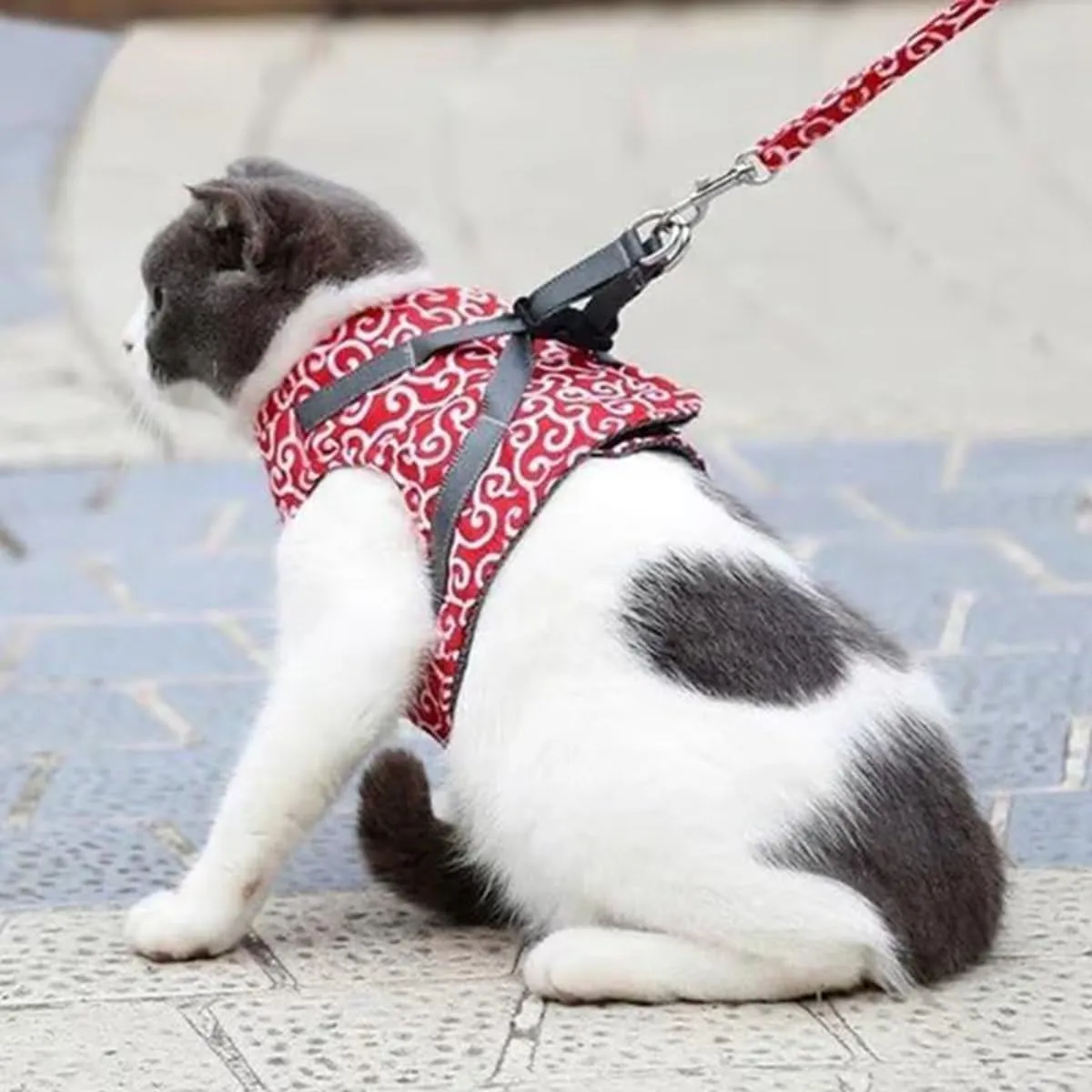 Cat Dogs Vest Harness and Leash Anti-Break Away Chest Strap Cat Clothes, Adjustable Cat Leash, Easy to Control, Soft Breathable Kitten or Puppy Harness for Travel, Training, Outdoor Use (Red,L)