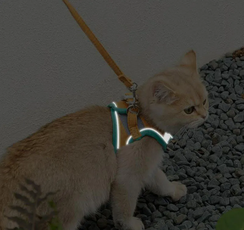 Cat leash vest type chest strap to prevent break free
