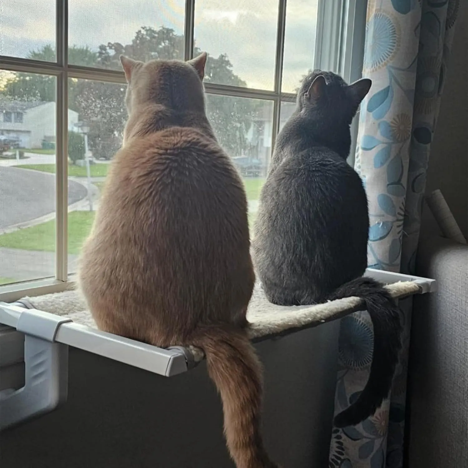 Cat Window Perch No Screws Easy to Adjust & Assemble with Reversible Washable Cover,Heavy Duty Metal Frame Cat Hammock Bed Seat Shelf for Windowsill,Ledge,Bedside for Large Cats and Kittens
