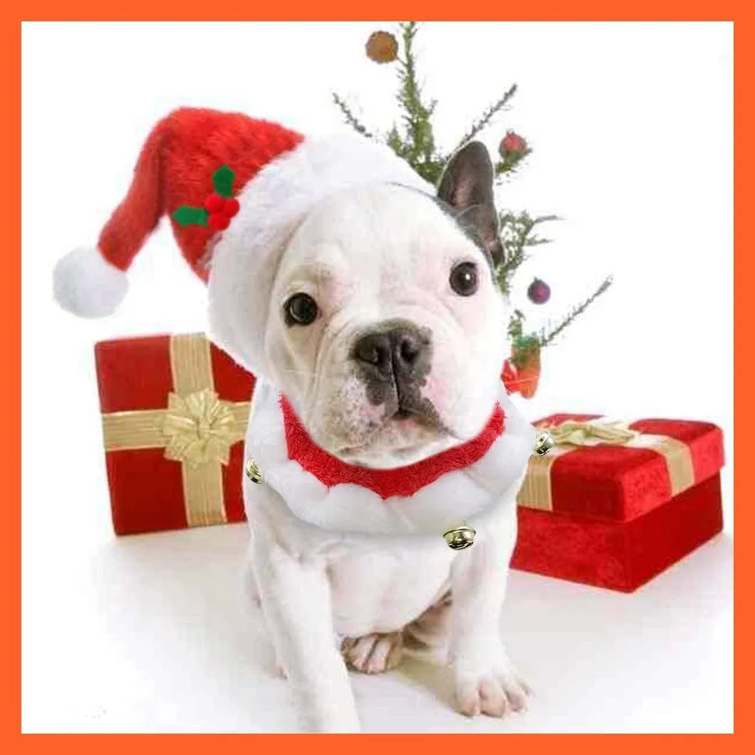 Christmas Dog Hat And Collar | Dogs Costume Santa Hats & Necklace With Bell