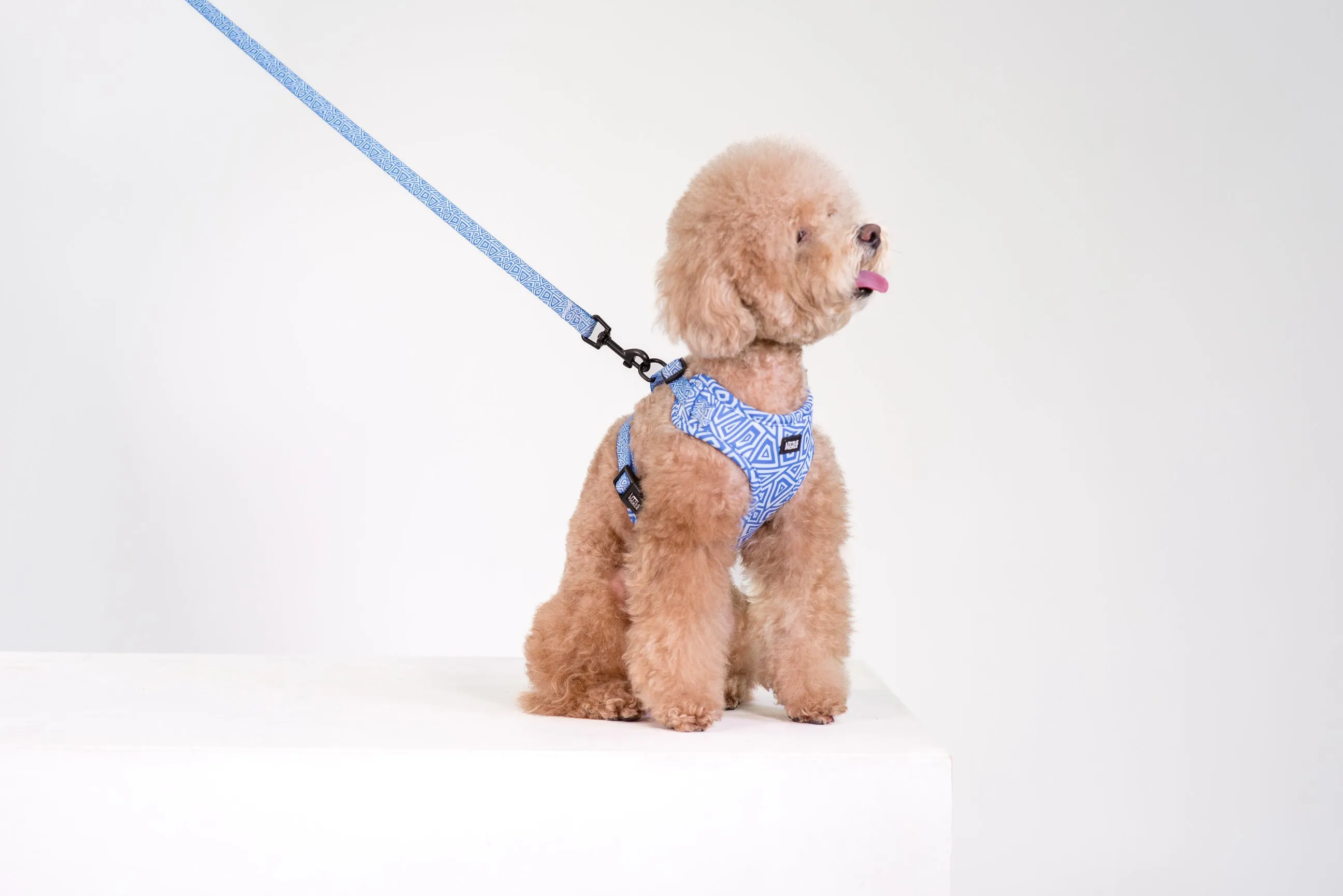 Classic Comfort Leash in Tropical Island Design