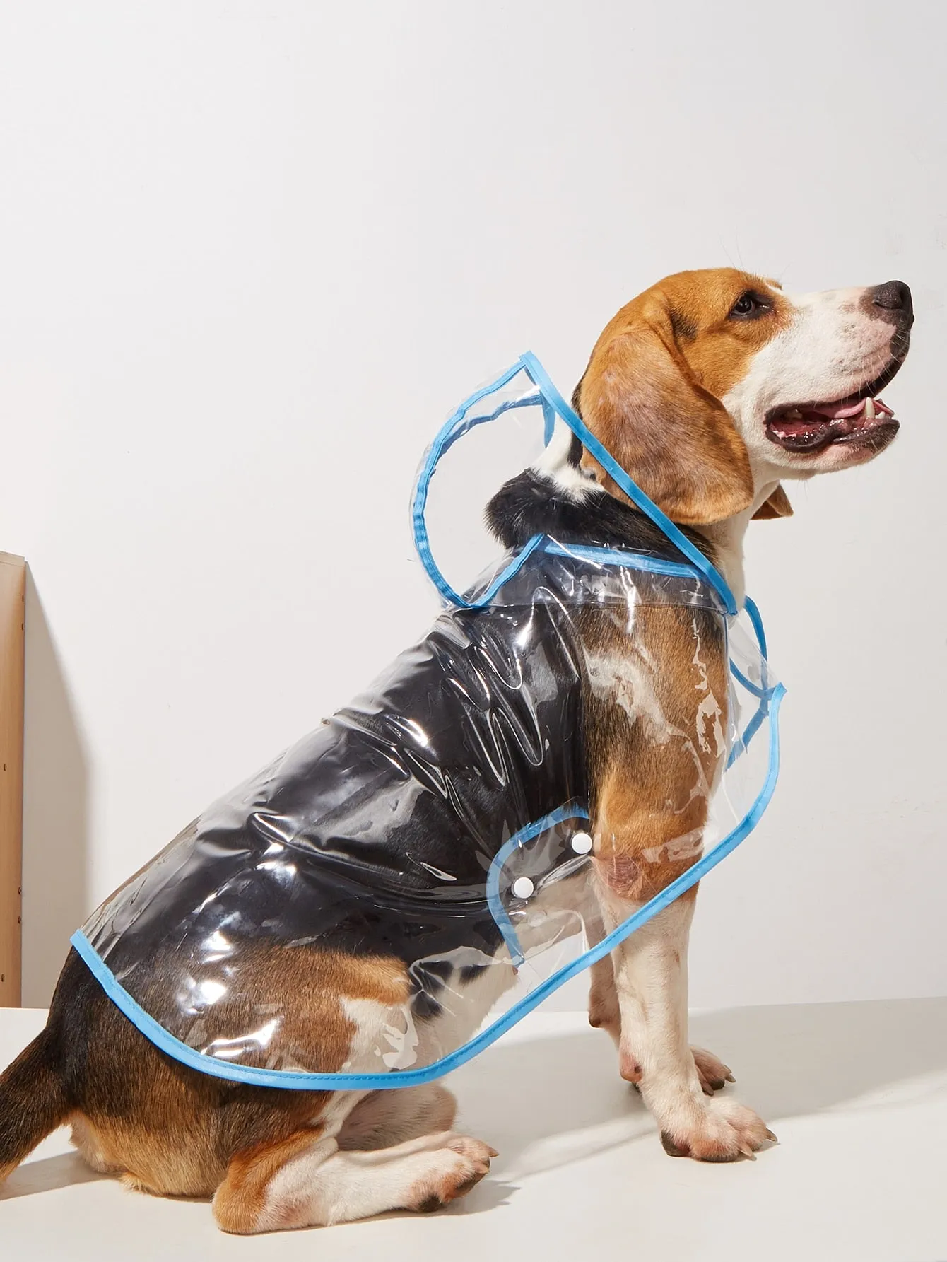 Clear Pet Raincoat