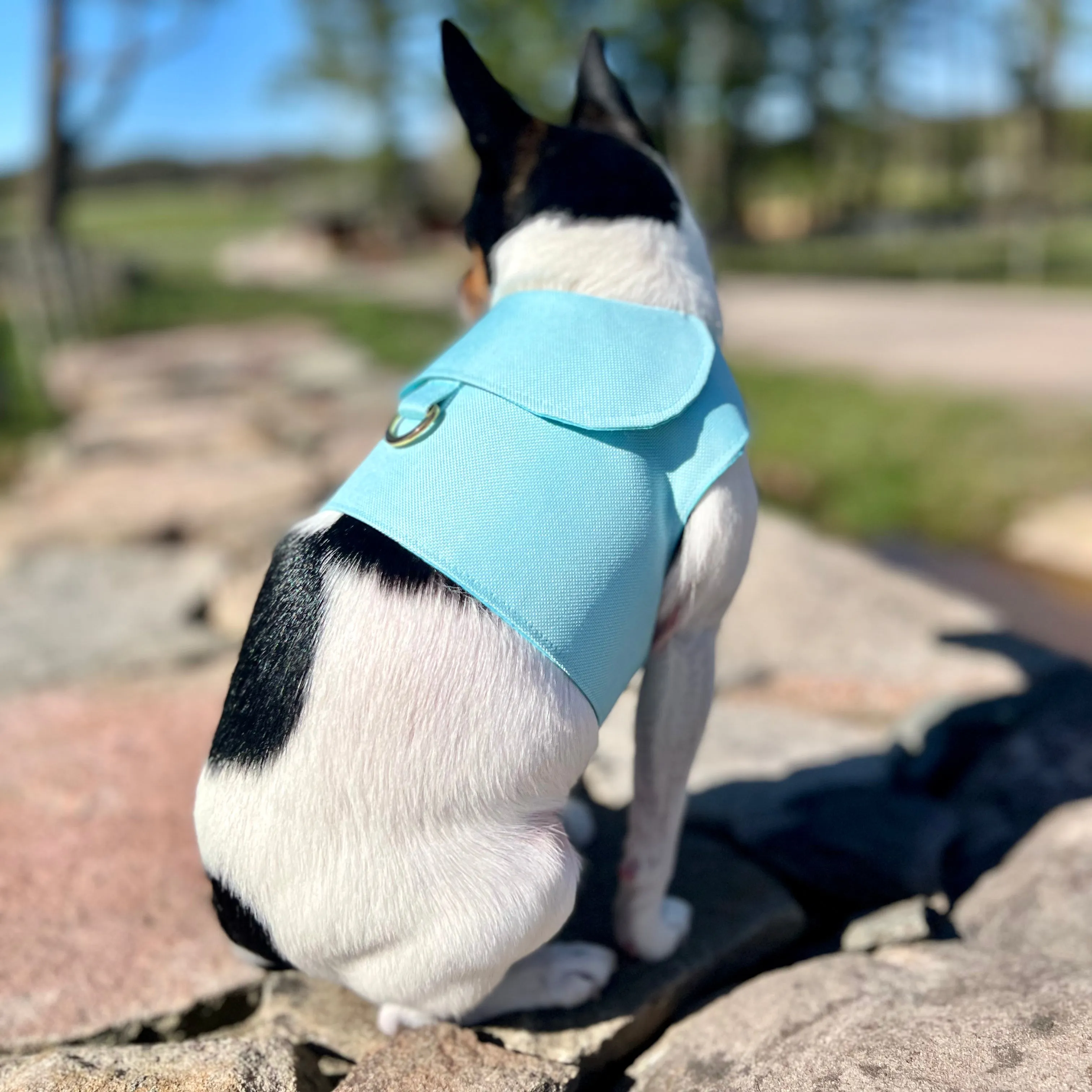 DCNY Aqua Harness Vest