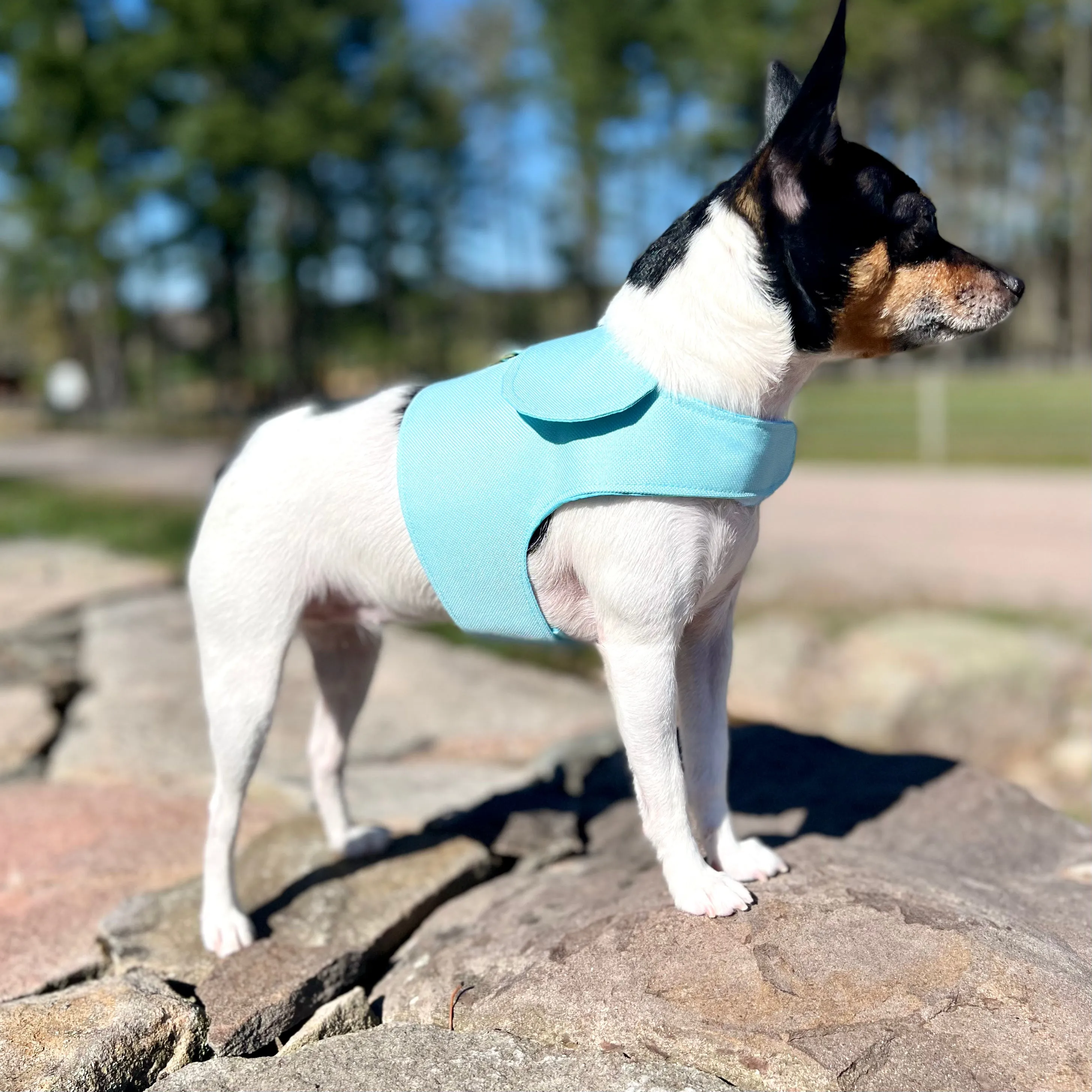 DCNY Aqua Harness Vest