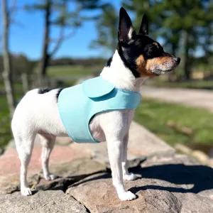 DCNY Aqua Harness Vest