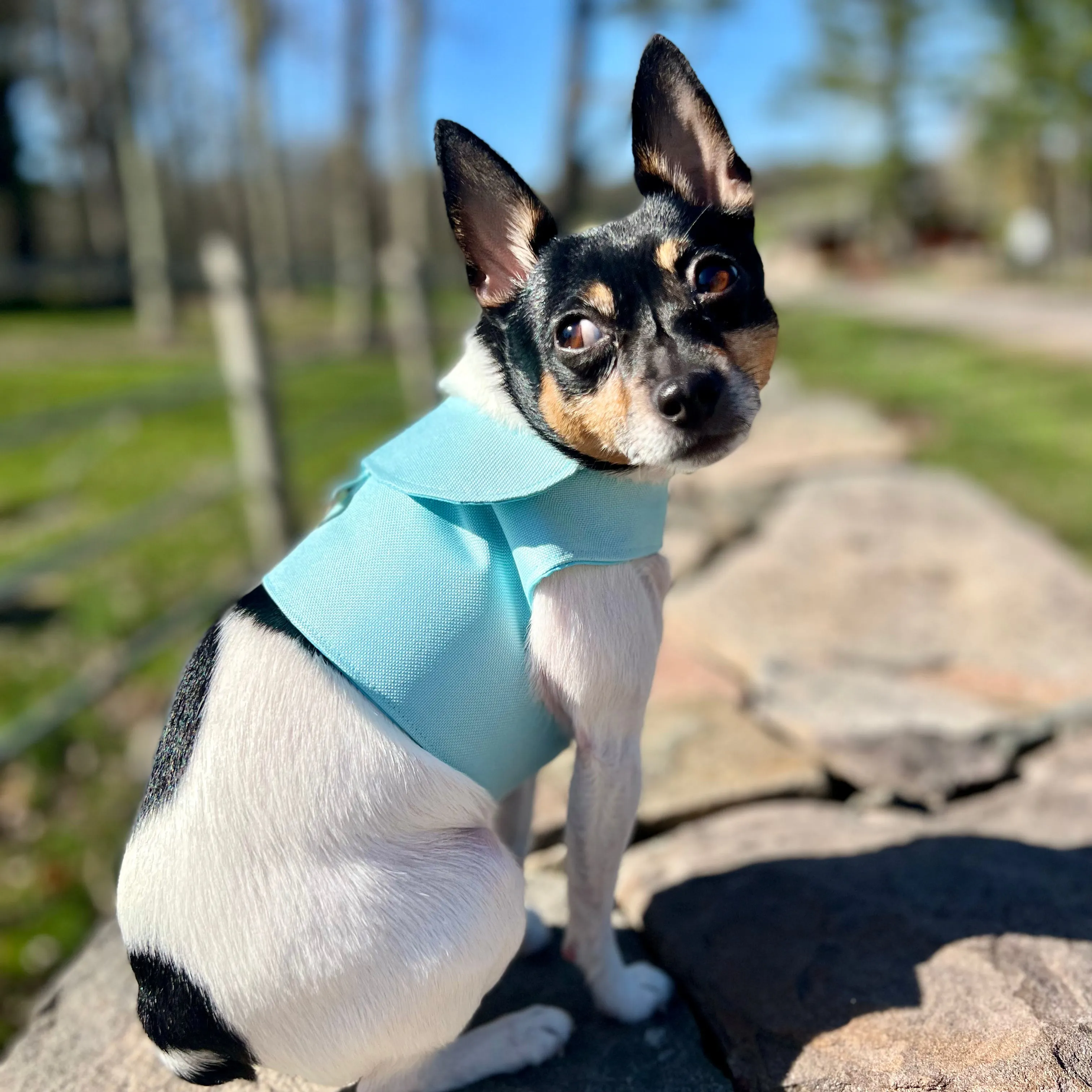 DCNY Aqua Harness Vest