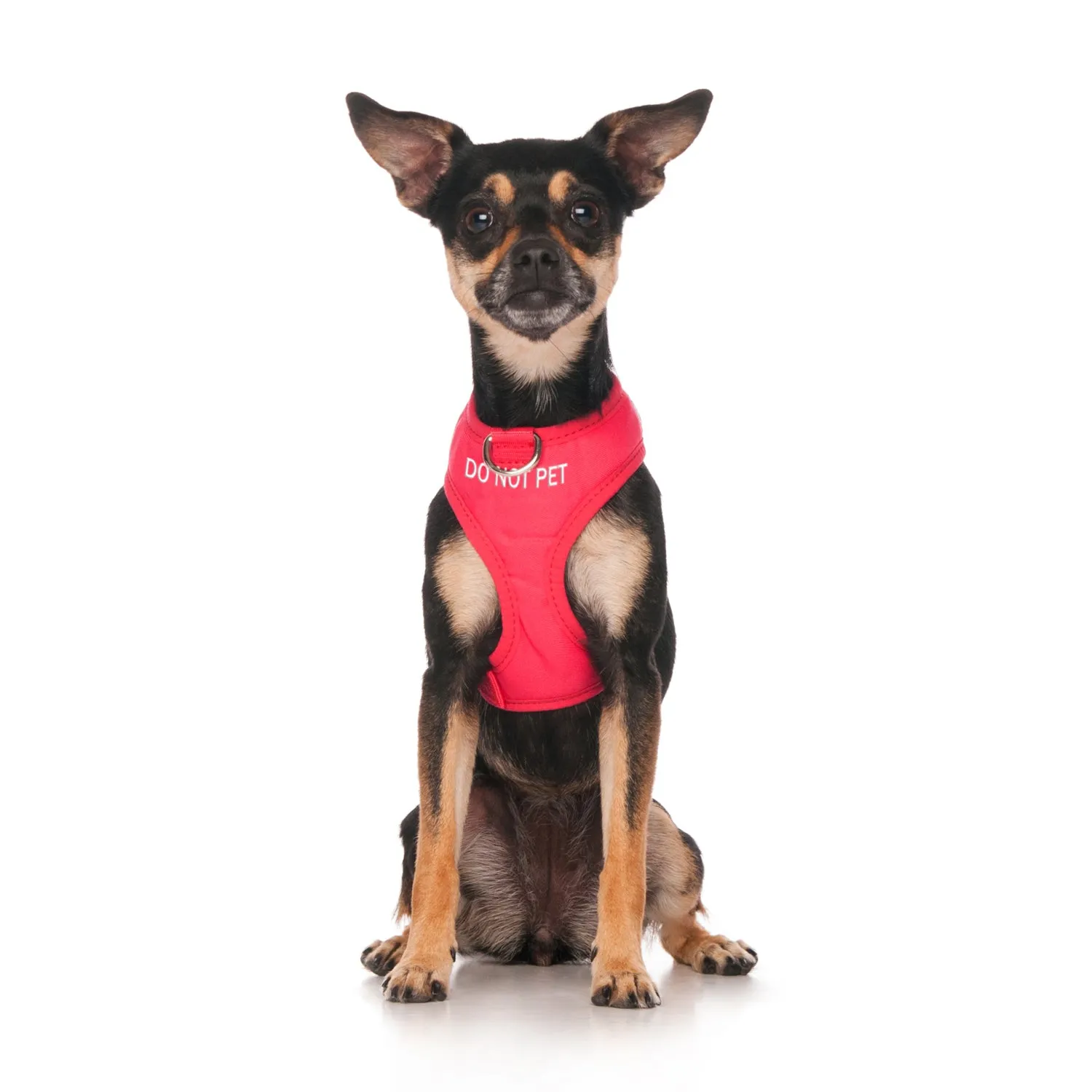 DO NOT PET - XS adjustable Vest Harness