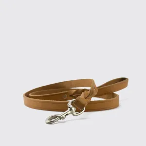 DOG BELT