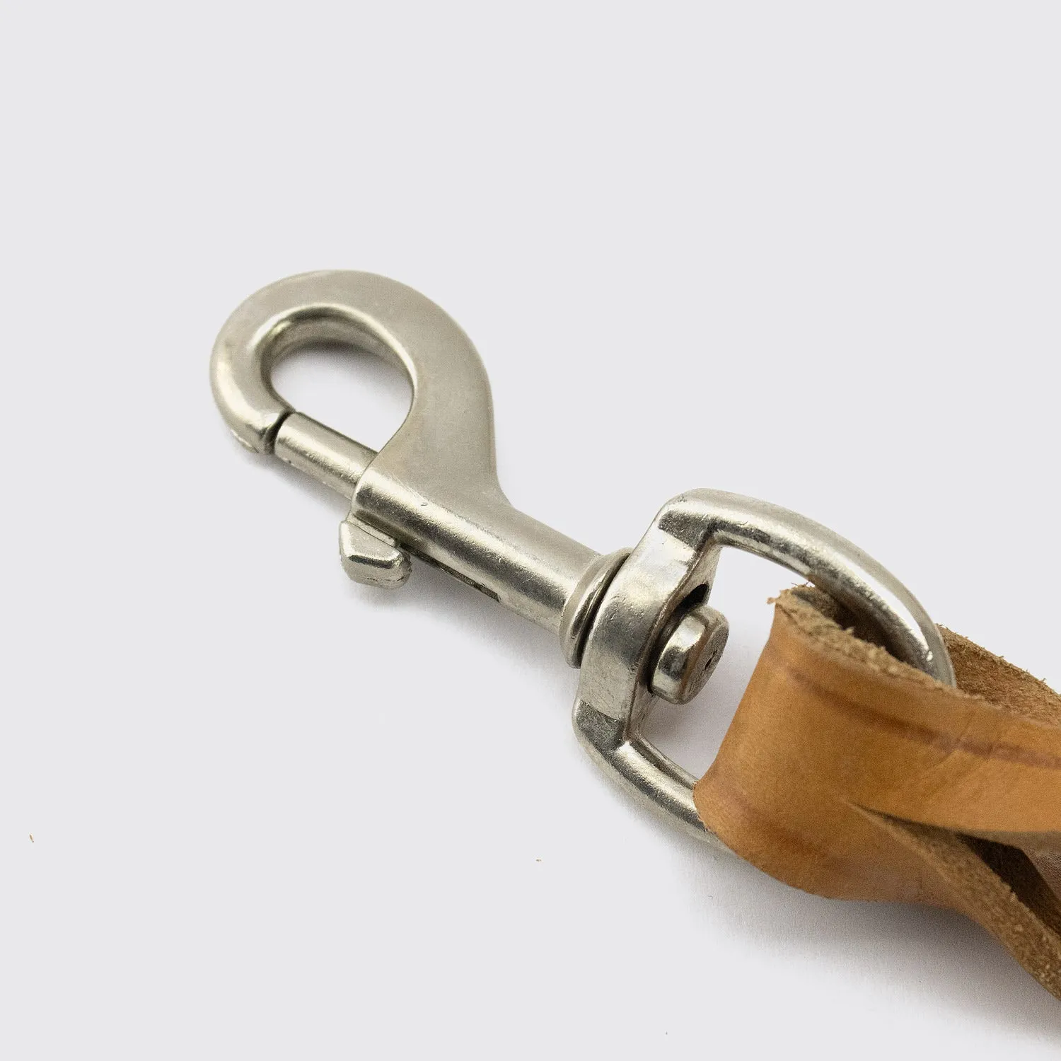 DOG BELT