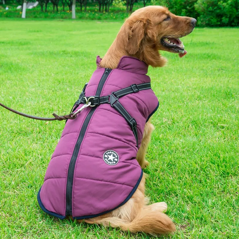 Dog Clothes Integrated Zip-up Cotton Coat