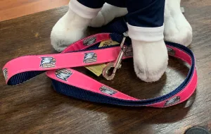 Dog Leash - 4' Ribbon and Nylon - PINK