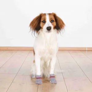 Dog Socks
