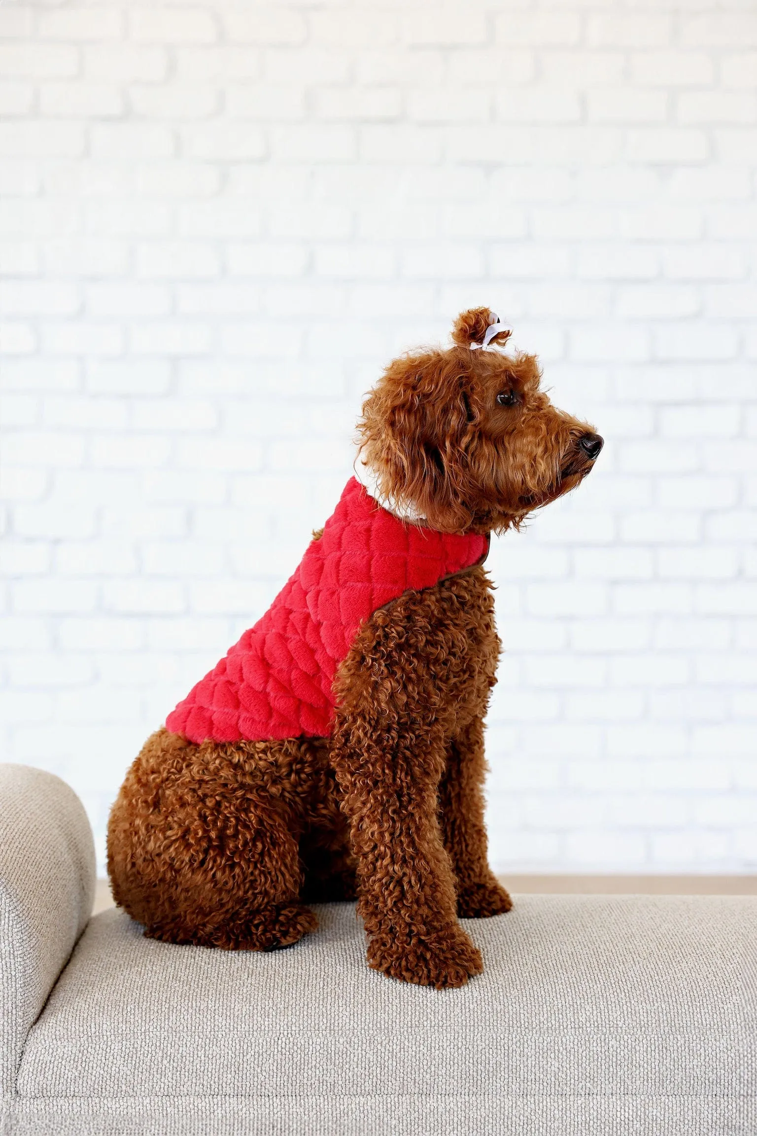 Dog Vest JulesRoche Minky Fabric Soft Inside & Out