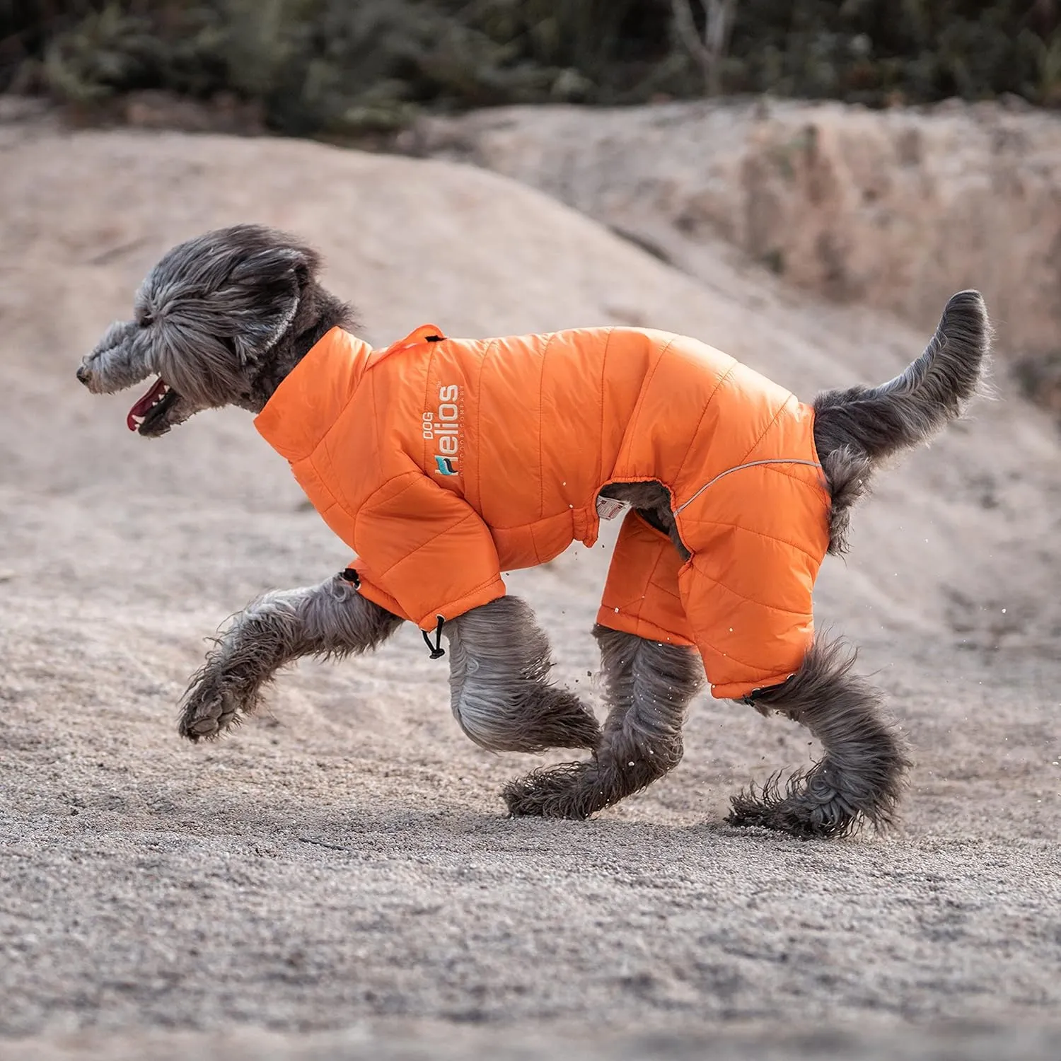 DOGHELIOS 'Thunder-Crackle' Full-Body Bodied Waded-Plush Adjustable and 3M Reflective Pet Dog Jacket Coat w/ Blackshark Technology, X-Small, Blue Wave
