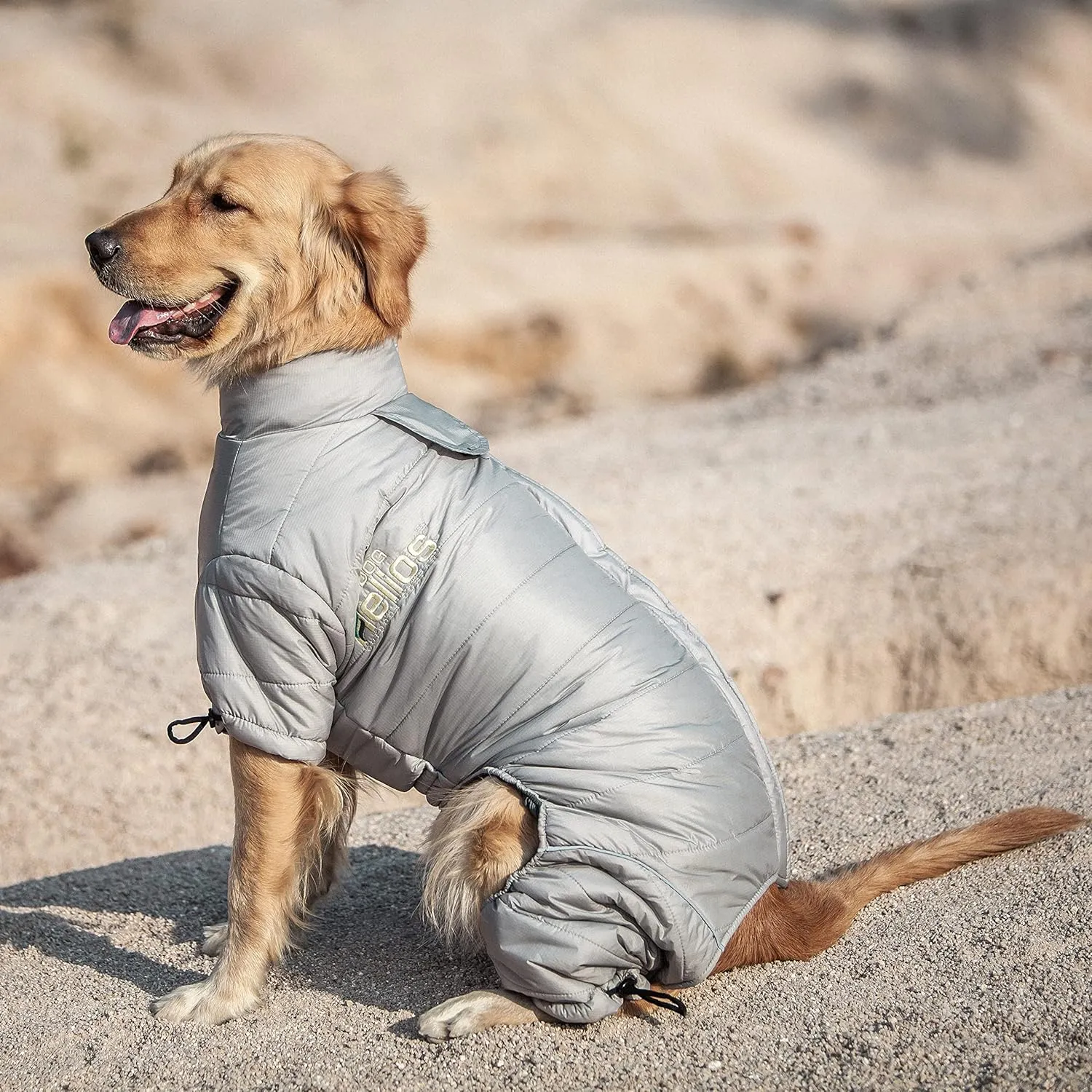 DOGHELIOS 'Thunder-Crackle' Full-Body Bodied Waded-Plush Adjustable and 3M Reflective Pet Dog Jacket Coat w/ Blackshark Technology, X-Small, Blue Wave