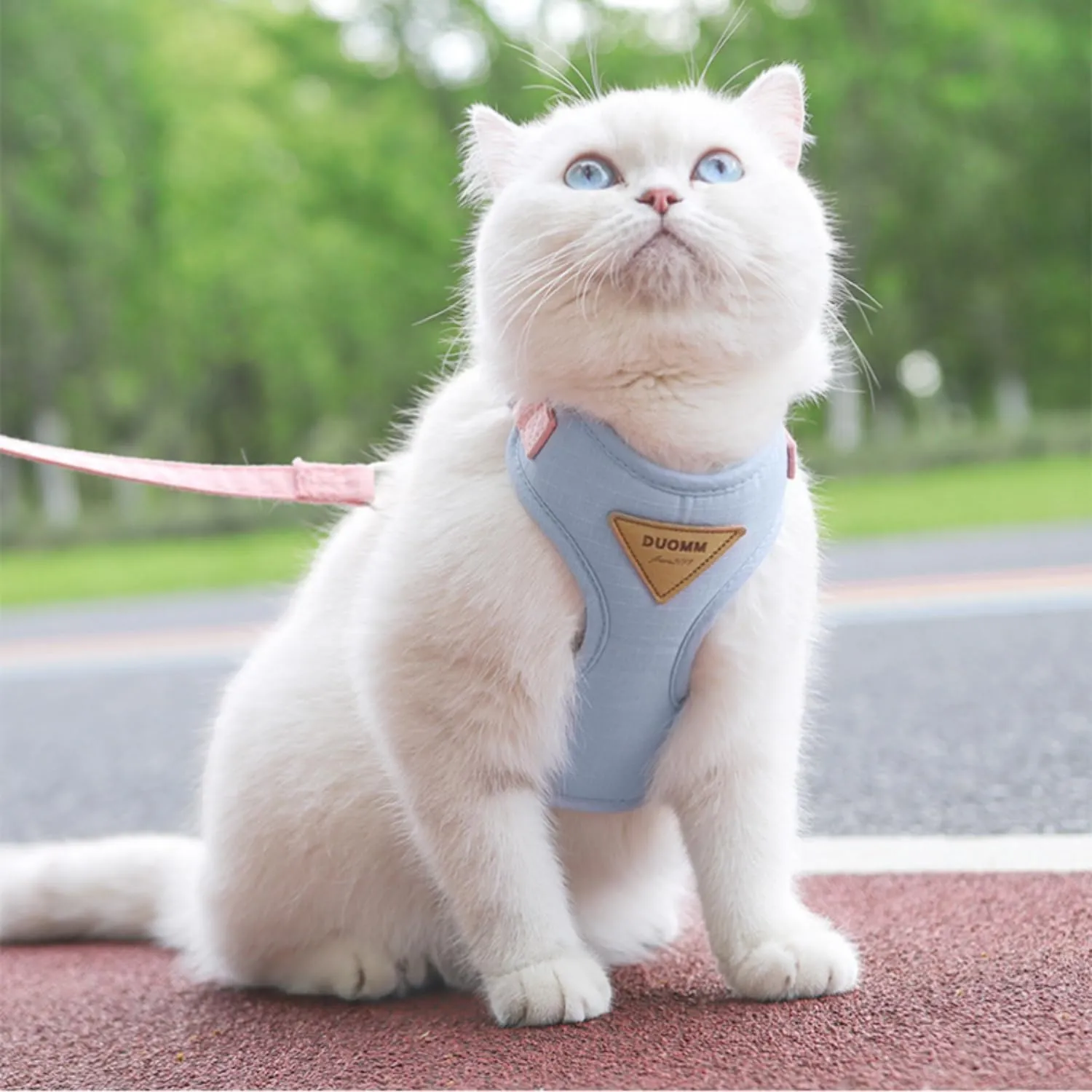 Escape-Proof Cat Harness and Leash Set - Adjustable and Comfortable - Ideal for Walking Cat Outdoors - Fits Kittens, Medium, and Large Cats (Blue, S)