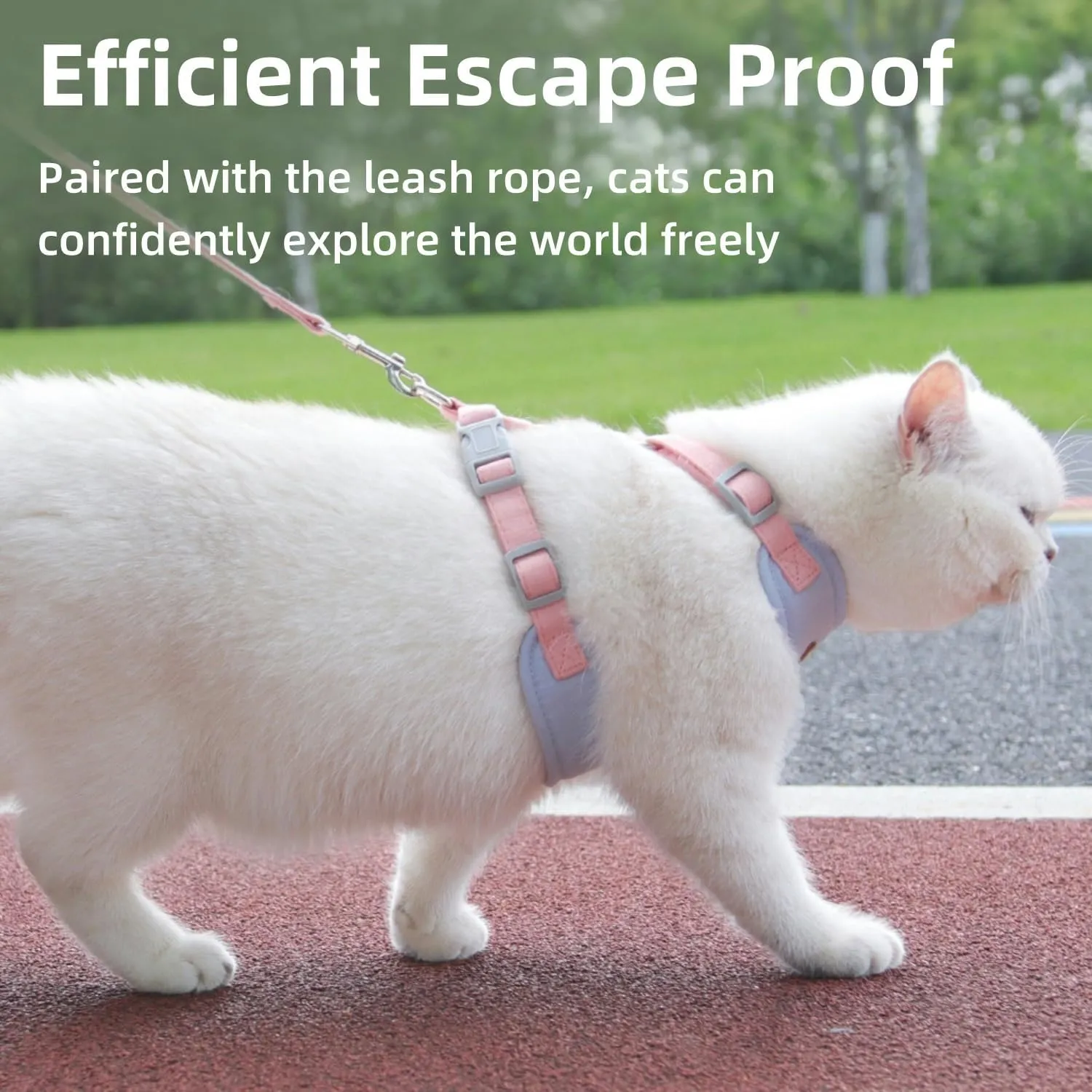 Escape-Proof Cat Harness and Leash Set - Adjustable and Comfortable - Ideal for Walking Cat Outdoors - Fits Kittens, Medium, and Large Cats (Blue, S)