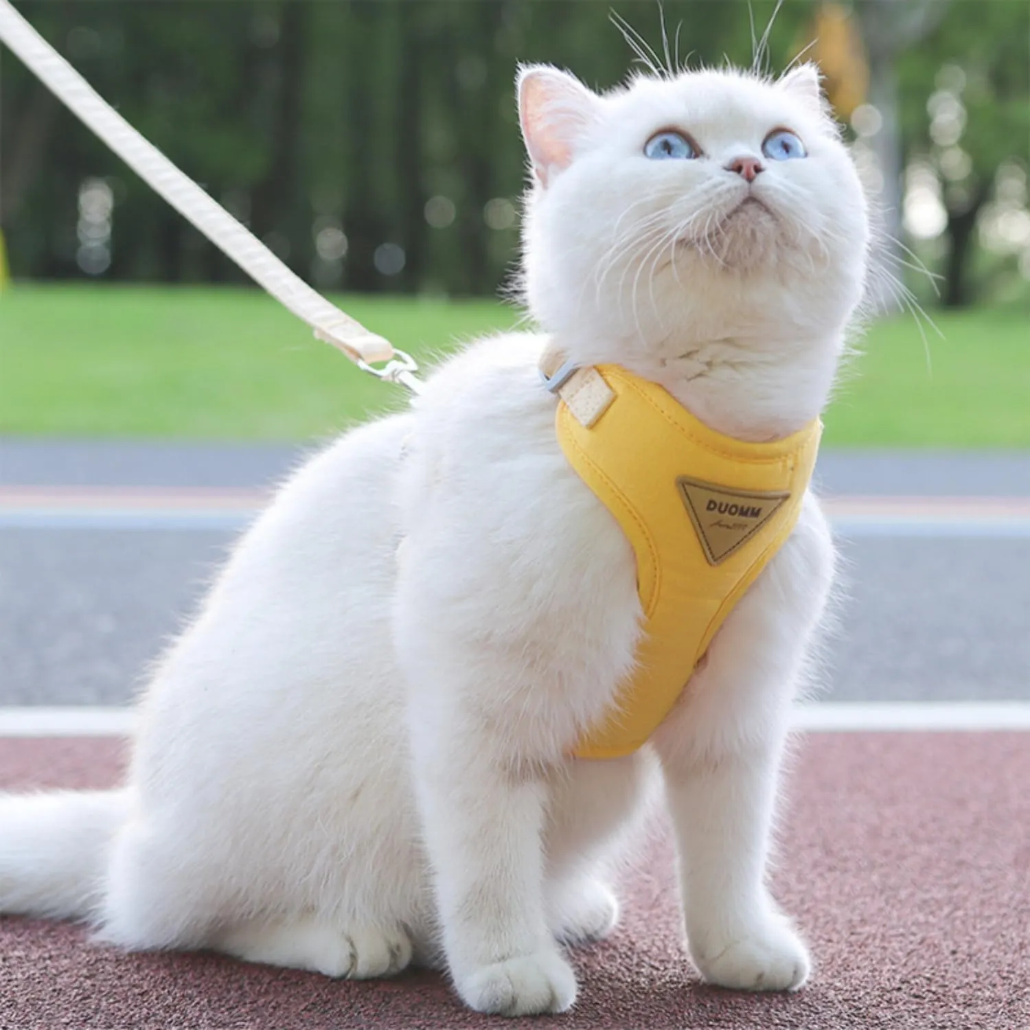Escape-Proof Cat Harness and Leash Set - Adjustable and Comfortable - Ideal for Walking Cat Outdoors - Fits Kittens, Medium, and Large Cats (Yellow, S)