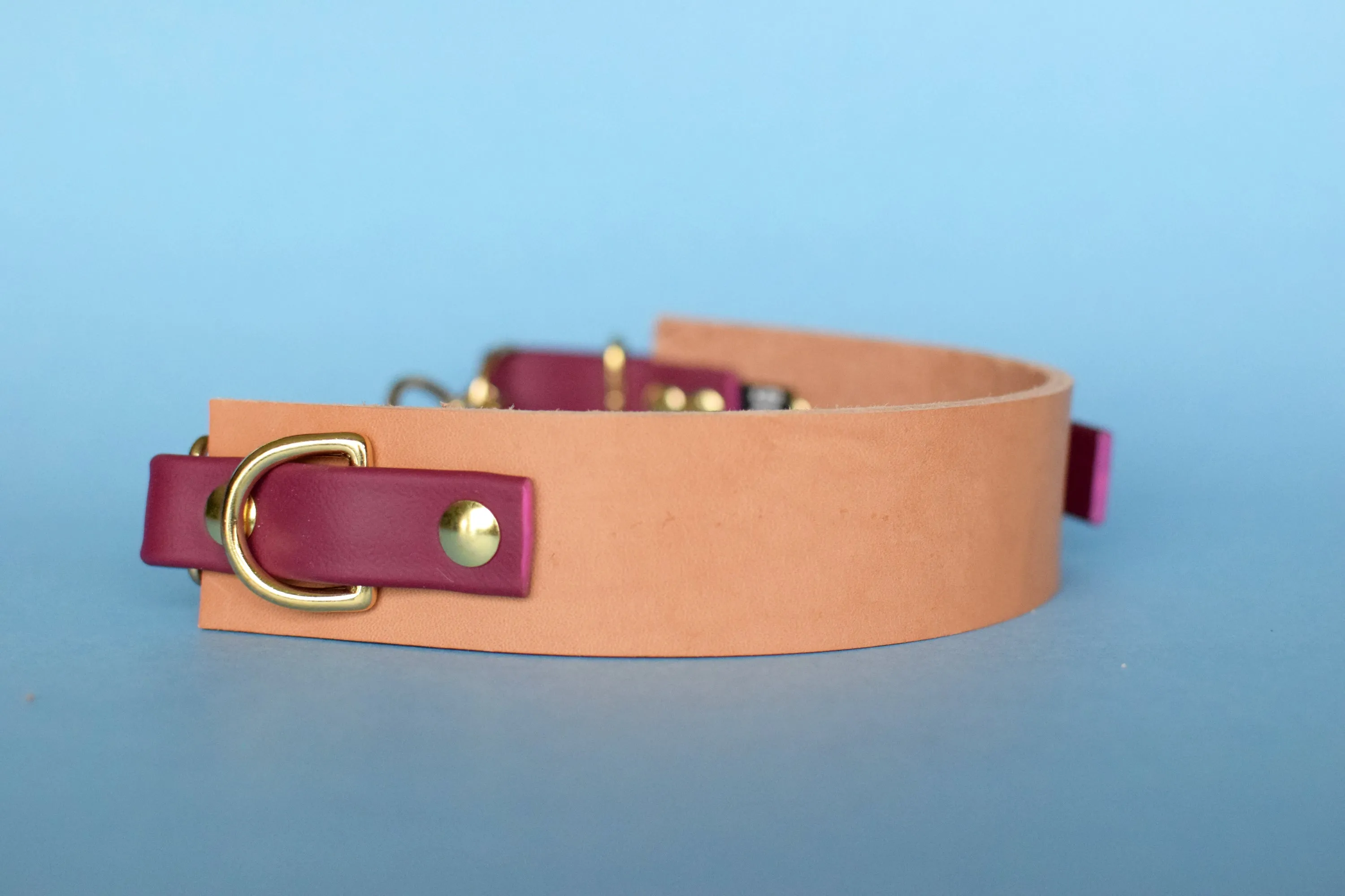 EXCLUSIVE LEATHER COLLECTION - Natural Tan & Burgundy Wine, Limited Edition Biothane and Leather Combo Martingale Dog Collar