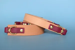 EXCLUSIVE LEATHER COLLECTION - Natural Tan & Burgundy Wine, Limited Edition Biothane and Leather Combo Martingale Dog Collar