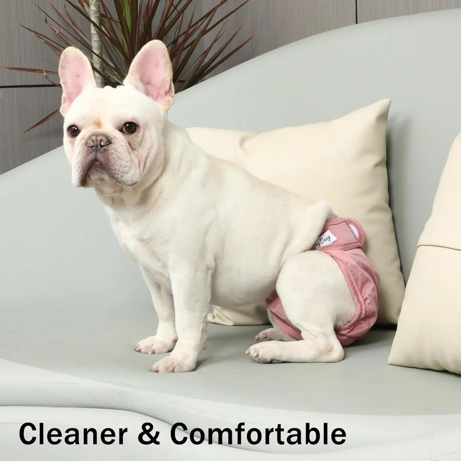 Female Dog Diapers for Large Dogs,4 Pack Reusable Washable Premium Doggie Diapers for Heat,Incontinence,Period Doggy Nappies,XL