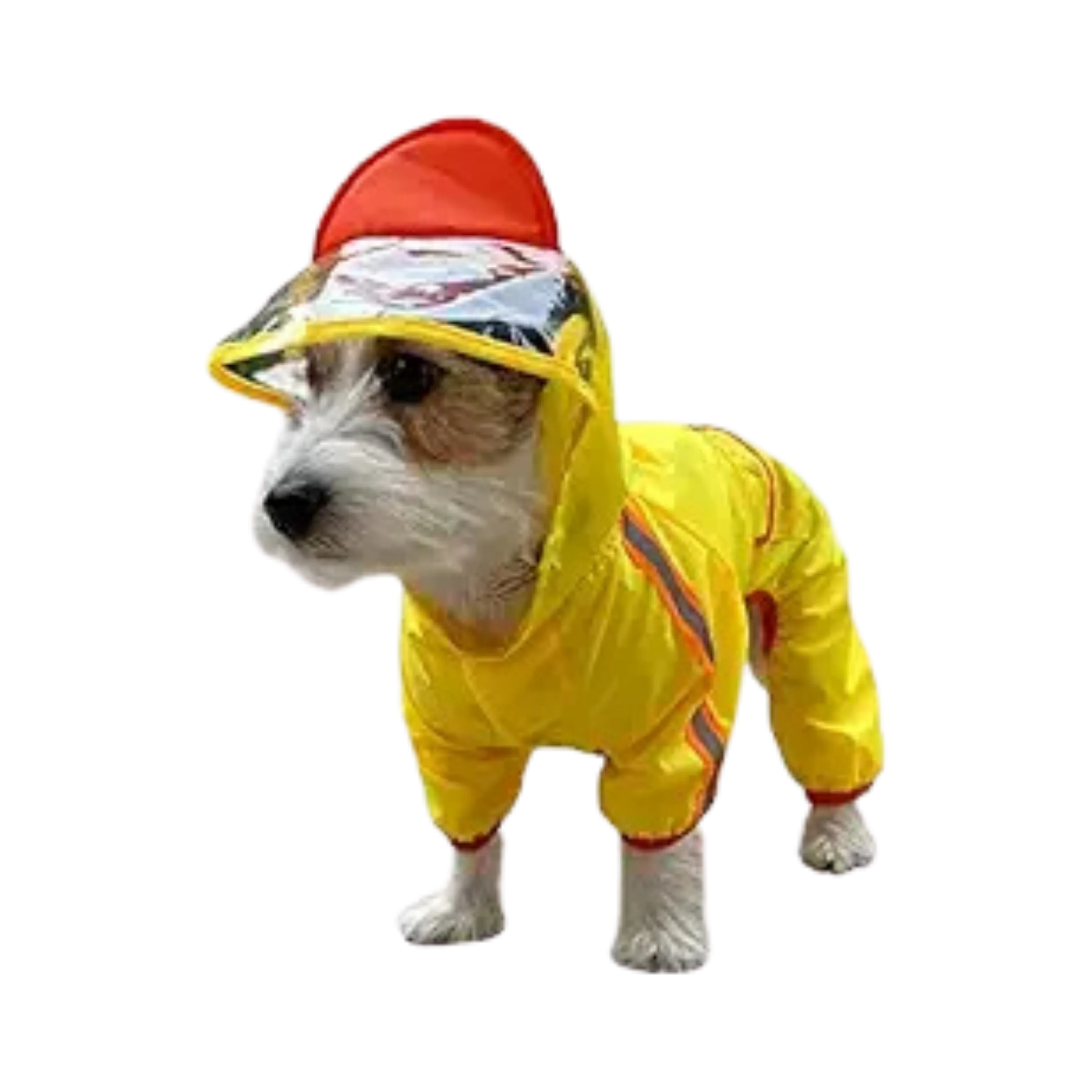 FOFOS PET RAINCOAT-DUCK (L)