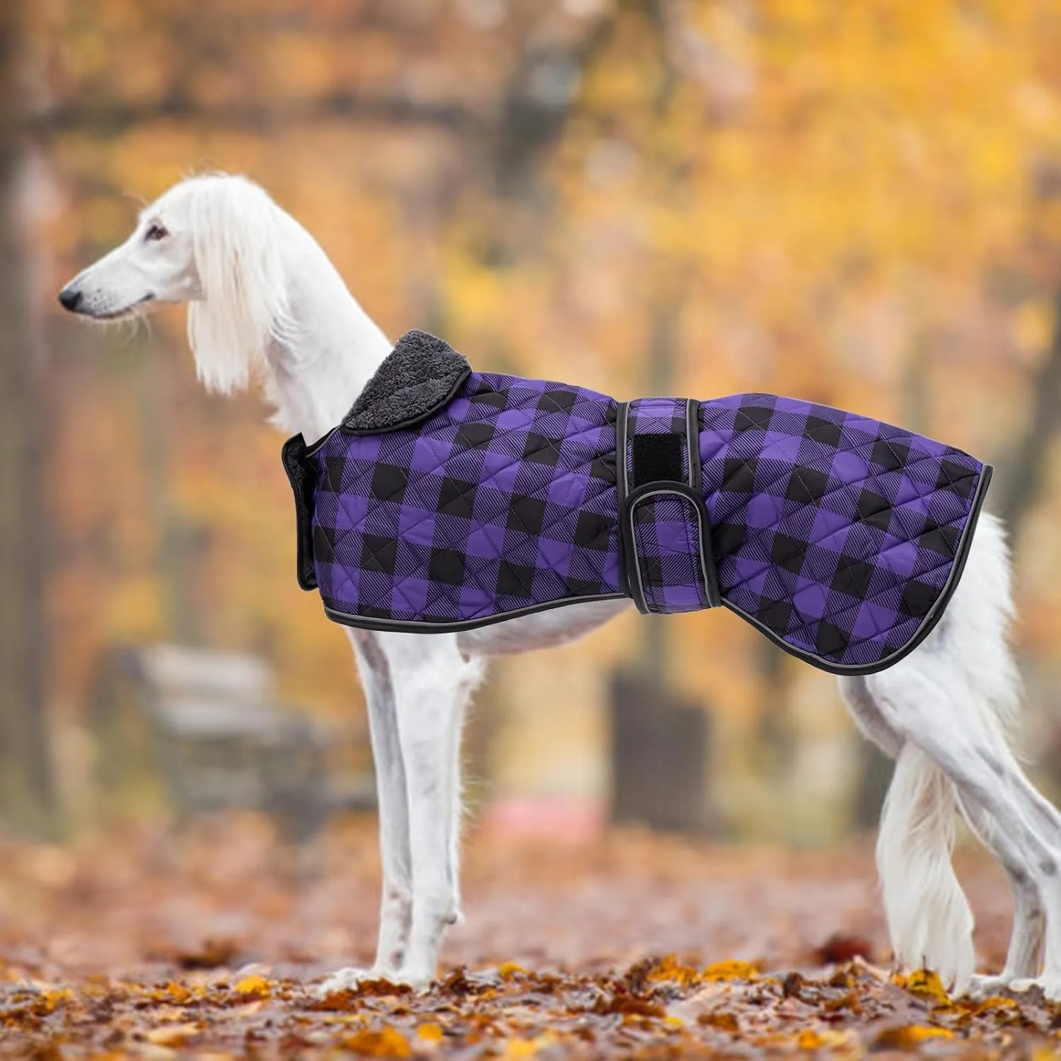 Geyecete Waterproof Greyhound Whippet Lurcher Dog Coat-with Warm Fleecy Lining Inside Outdoor Dog Apparel with Adjustable Bands for Medium, Large Dog-Purple-XS