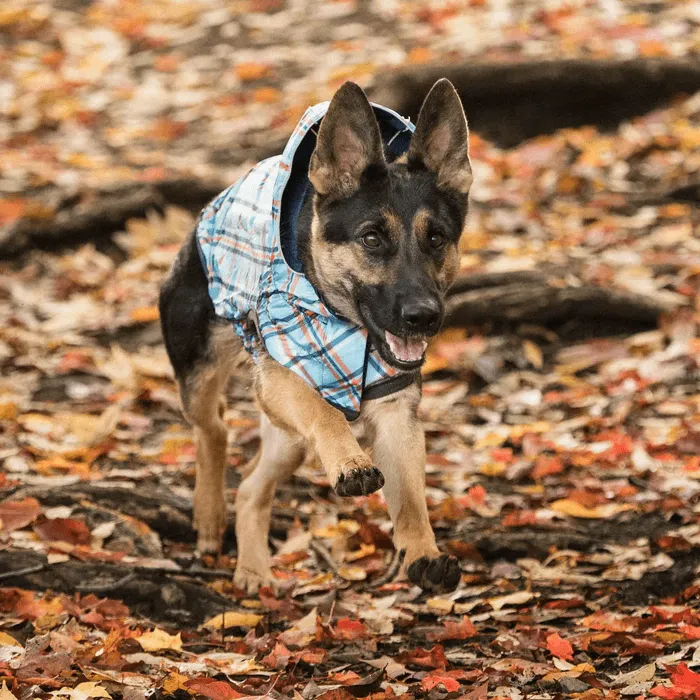 GF Pet Reversible Raincoat Navy For Dogs