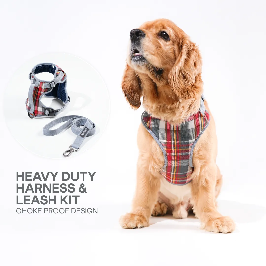Heavy-duty harness kit for maximum comfort and zero choking- Denim Check Plaid